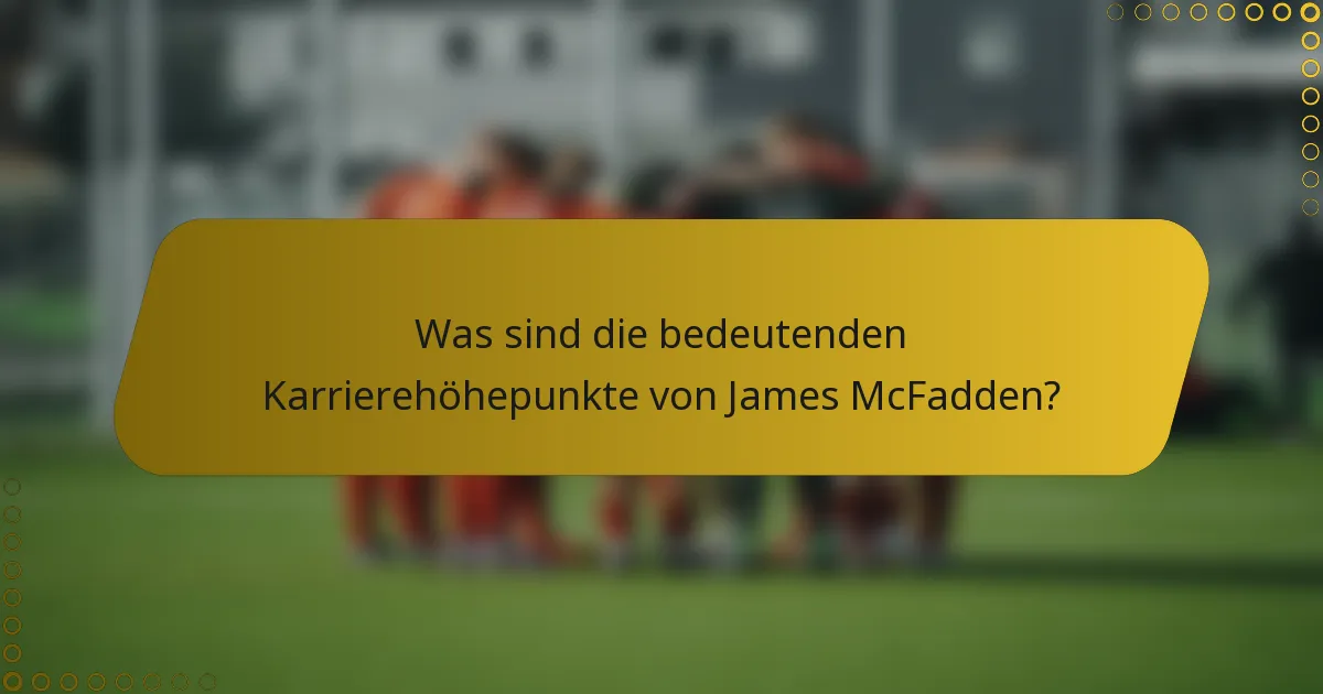 Was sind die bedeutenden Karrierehöhepunkte von James McFadden?