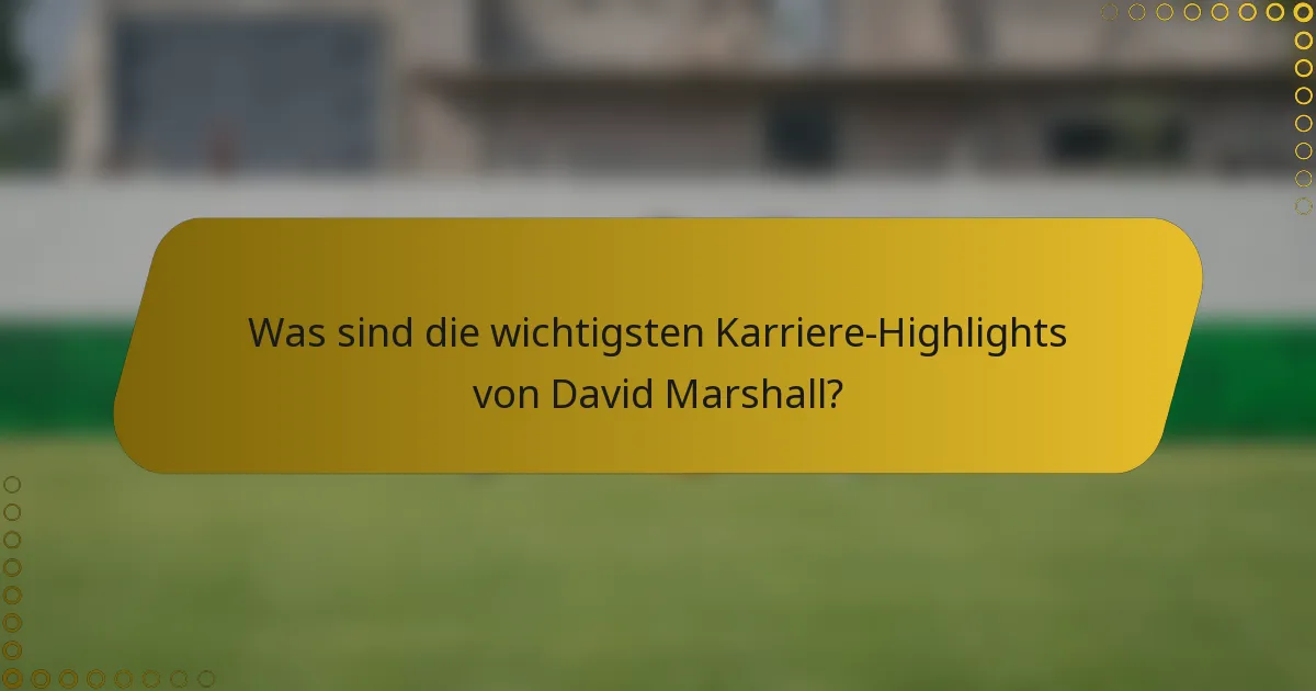 Was sind die wichtigsten Karriere-Highlights von David Marshall?