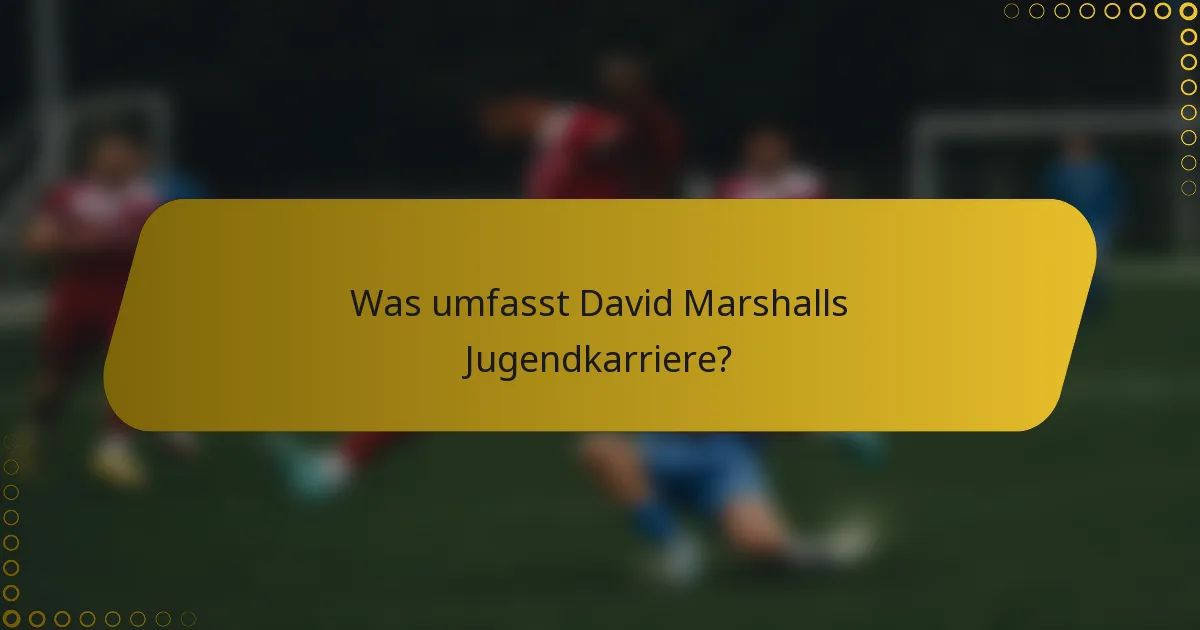 Was umfasst David Marshalls Jugendkarriere?