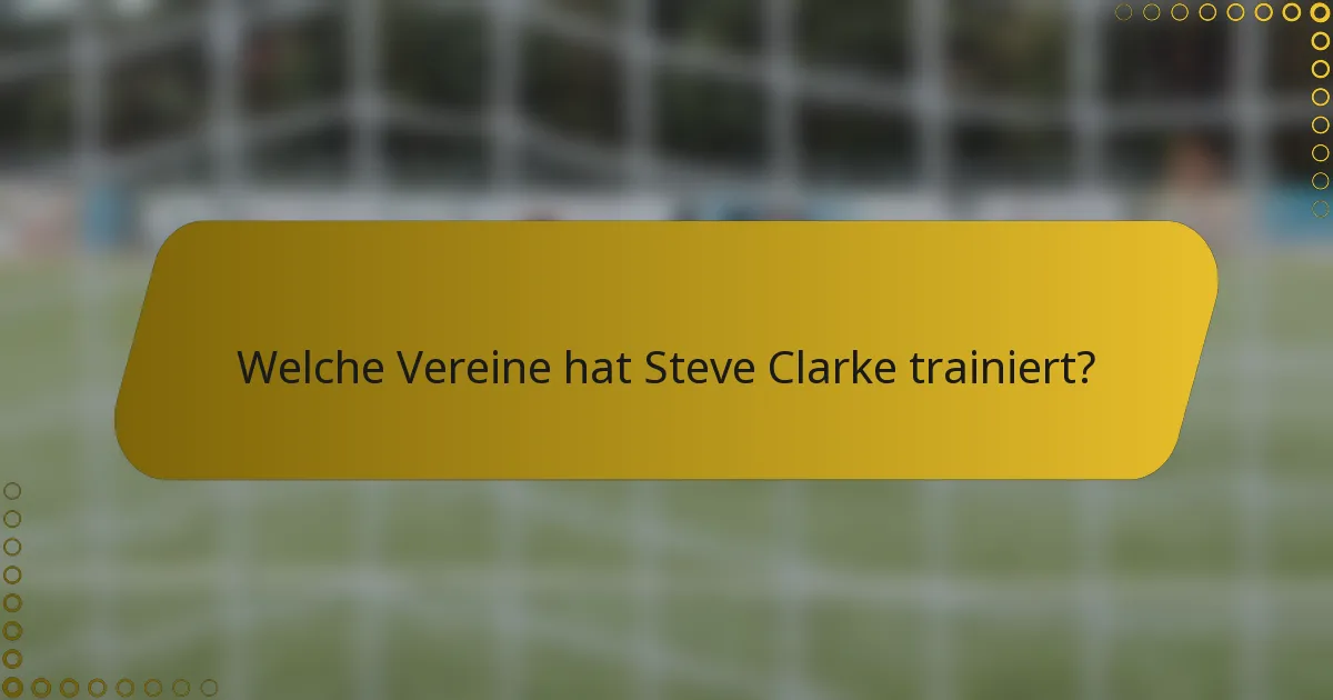 Welche Vereine hat Steve Clarke trainiert?